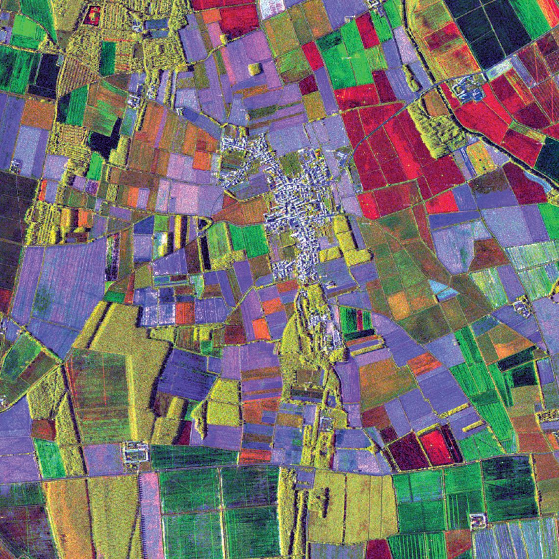 agriculture_fields_lombardia_italy_agriculture_60x60